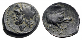 Northern Apulia, Arpi, c. 325-275 BC. Æ (15mm, 3.27g, 12h). Laureate head of Zeus l.; thunderbolt behind. R/ Forepart of boar r., spear above. HNItaly...