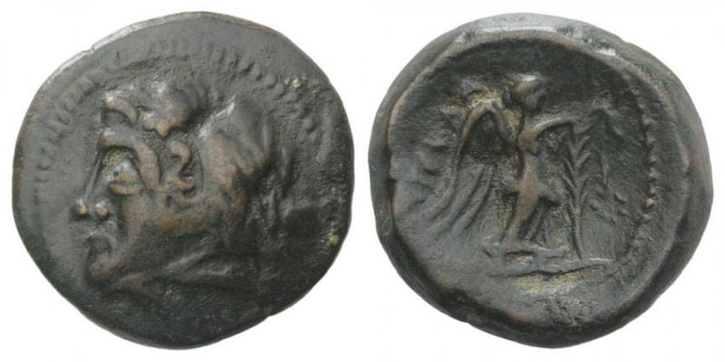 Northern Apulia, Ausculum, c. 240 BC. Æ (19mm, 4.82g, 12h). Head of young Herakl...