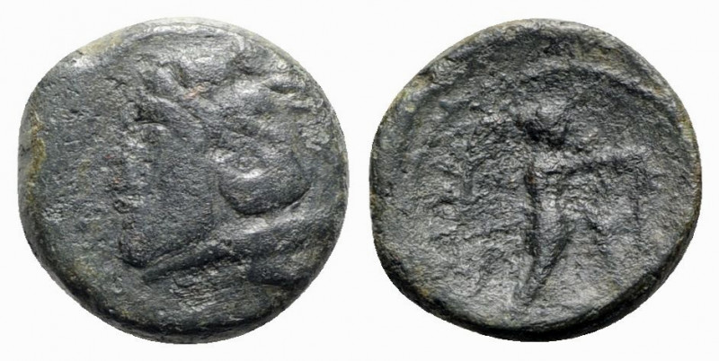 Northern Apulia, Ausculum, c. 240 BC. Æ (17.5mm, 5.42g, 6h). Head of young Herak...