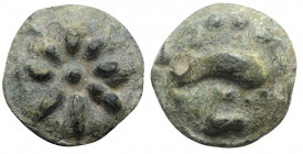 Northern Apulia, Luceria, c. 217-212 BC. Cast Æ Teruncius (27mm, 19.25g). Star of eight rays on a raised disk. R/ Dolphin r.; three pellets above, L b...