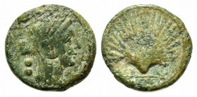 Northern Apulia, Luceria, c. 211-200 BC. Æ Biunx (18mm, 6.50g, 5h). Veiled and wreathed head of Ceres r. R/ Scallop shell. HNItaly 681; SNG ANS 708; S...