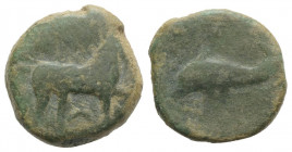 Northern Apulia, Salapia, c. 275-250 BC. Æ (19mm, 6.28g, 12h). Horse stepping r. R/ Dolphin l. HNItaly 685; SNG ANS 733. Green patina, Fine