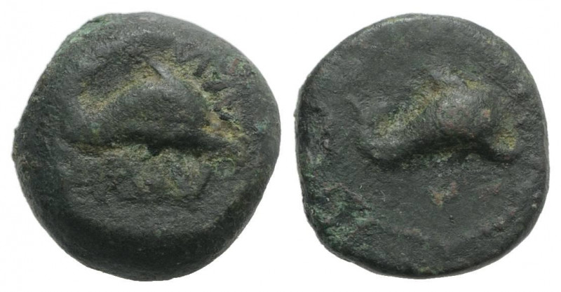 Northern Apulia, Salapia, c. 275-250 BC. Æ (12mm, 3.68g, 6h). Dolphin r. R/ Dolp...