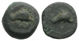 Northern Apulia, Salapia, c. 275-250 BC. Æ (12mm, 3.68g, 6h). Dolphin r. R/ Dolphin r. HNItaly 689; SNG ANS -. Scarce, green patina, Good Fine - near ...