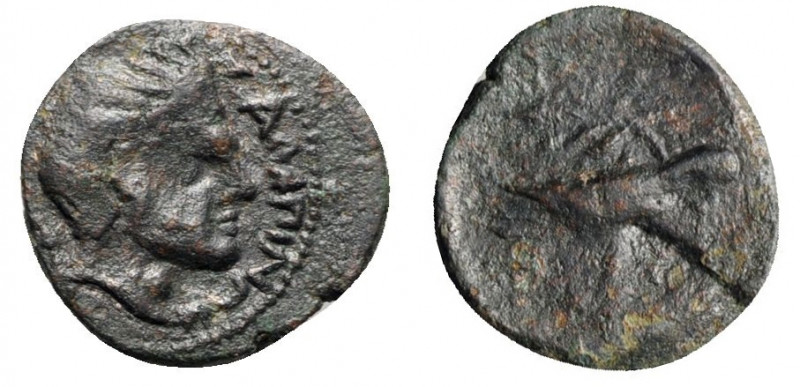 Northern Apulia, Salapia, c. 225-210 BC. Æ (15mm, 1.74g, 9h). Head of young Pan ...