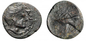 Northern Apulia, Salapia, c. 225-210 BC. Æ (15mm, 1.74g, 9h). Head of young Pan r.; pedum over shoulder. R/ Hawk standing r. on Ionic capital; palm br...