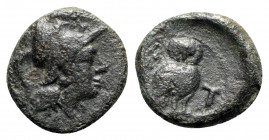 Northern Apulia, Teate, c. 225-200 BC. Æ Uncia (17mm, 4.22g, 3h). Helmeted head of Athena r. R/ Owl standing r., head facing; T to r., [pellet below]....