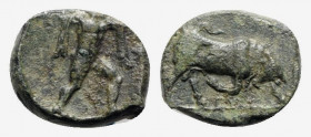 Northern Lucania, Poseidonia, 350-290 BC. Æ (13.5mm, 2.14g, 12h). Poseidon advancing r., wielding trident. R/ Bull butting r. HNItaly 1171. Green pati...
