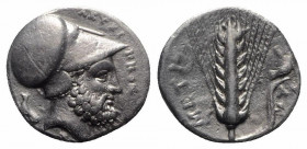 Southern Lucania, Metapontion, c. 340-330 BC. AR Stater (20mm, 7.85g, 6h). Ami-, magistrate. Helmeted head of Leukippos r.; to l., dog seated l. R/ Ba...