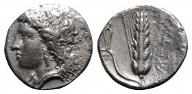 Southern Lucania, Metapontion, c. 330-290 BC. AR Stater (20mm, 7.15g, 7h). Wreathed head of Demeter l. R/ Barley ear of seven grains, leaf to l.; tong...