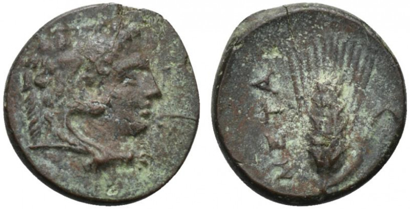 Southern Lucania, Metapontion, c. 300-250 BC. Æ (13mm, 2.40g, 12h). Head of Hera...