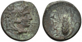 Southern Lucania, Metapontion, c. 300-250 BC. Æ (13mm, 2.40g, 12h). Head of Herakles r., wearing lion's skin headdress. R/ Ear of barley. Johnston Bro...