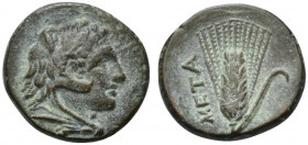 Southern Lucania, Metapontion, c. 300-250 BC. Æ (17mm, 2.94g, 6h). Head of Herakles r., wearing lion's skin headdress. R/ Ear of barley. Johnston Bron...