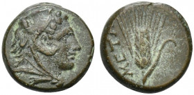 Southern Lucania, Metapontion, c. 300-250 BC. Æ (12mm, 3.12g, 11h). Head of Herakles r., wearing lion's skin headdress. R/ Ear of barley. Johnston Bro...