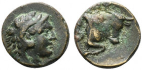 Southern Lucania, Thourioi, c. 280-213 BC. Æ (10mm, 1.24g, 4h). Head of Herakles r., wearing lion skin. R/ Forepart of bull butting r.; ΣΩ to l. HNIta...