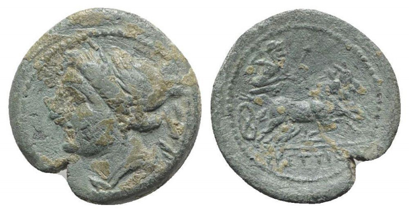 Bruttium, The Brettii, c. 211-208 BC. Æ Half Unit (16.5mm, 3.11g, 12h). Diademed...