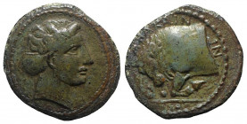 Sicily, Abakainon, c. 339-317 BC. Æ Hemilitron (18mm, 5.88g, 12h). Female head r., hair in sphendone. R/ Forepart of a bull butting l. Campana 29a; CN...
