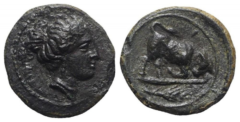 Sicily, Kamarina, c. 339/8-300 BC. Æ (12mm, 1.68g, 5h). Head of nymph r. R/ Bull...