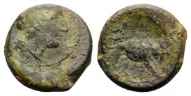 Anonymous, Southern Italy, c. 260 BC. Æ (22.5mm, 9.31g, 6h). Female head r., with ribbon in hair. R/ Lion r.; ROMANO in exergue. Crawford 16/1a; HNIta...