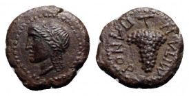 Sicily, Panormos, c. 2nd-1st century BC. Fake Æ (14mm, 2.07g, 9h). Laureate head of Apollo l. R/ ΠANOPMITAN, Grape bunch. Modern fake for study