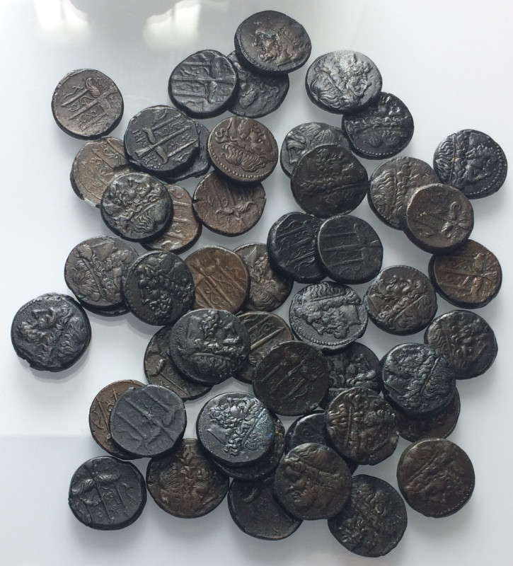 Sicily, Syracuse, Hieron II (275-215 BC), lot of 50 Æ coins, to be catalog. Lot ...