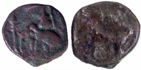 Copper Coin of Sangam Cholas