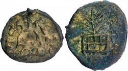 Copper Coin of Chutukulananda of Anandas of Karwar.