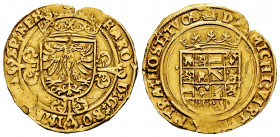 Charles I (1516-1556). 1/2 real de oro. Antwerpen. (Vti-606). (Vanhoudt-221.AN). Au. 3,43 g. Flan cracks and weak strike. Scarce. Choice VF. Est...450...