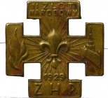 II RP, Odznaka II Zlot Narodowy ZHP 1929