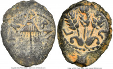 JUDAEA. Herodians. Agrippa I (AD 37-44). AE prutah (15mm, 12h). NGC Choice VF. Dated Regnal Year 6 (AD 41/2). BACIΛEΩC AΓPIΠA, umbrella-like canopy / ...
