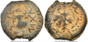 JUDAEA. The Jewish War (AD 66-70). AE prutah (17mm, 6h). NGC Choice Fine, repatinated. Jerusalem, Year 2 (AD 67/8). Year two (Paleo-Hebrew), amphora w...