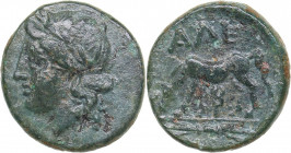 Troas, Alexandreia - AE (3rd century BC)
1.48 g. 13mm. VF/VF Laureate head of Apollo left / Horse standing left, ΑΛΕ.