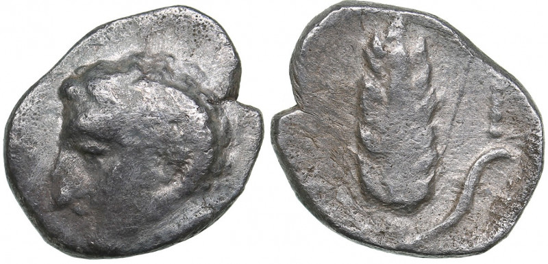 Lucania - Metapontion - AR Diobol (circa 325-275 BC)
0.84 g. 11mm. F/F Head of ...