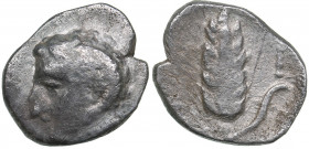 Lucania - Metapontion - AR Diobol (circa 325-275 BC)
0.84 g. 11mm. F/F Head of Apollo Karneios left./ Barley ear with leaf to right.