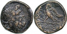 Pontos, Amisos. Æ (circa 85-65 BC)
7.92 g. 19mm. F/F Laureate head of Zeus right / Eagle standing left, head right, on thunderbolt; monogram to left....