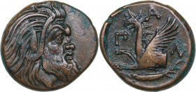 Bosporus Kingdom, Pantikapaion Æ tetrachalcon (Circa 345-310 BC)
7.17 g. 22mm. XF+/XF- Bearded head of Pan to right / Forepart of griffin to left, Π-...