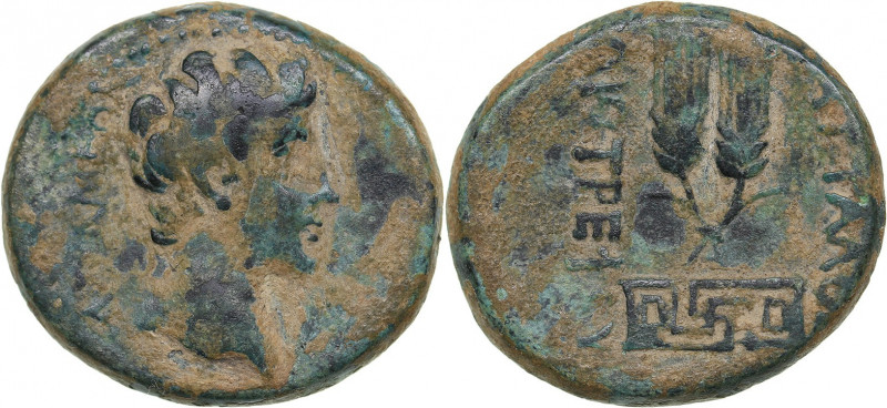 Roman Empire - Phrygia, Apameia AE - Augustus (27 BC - 14 AD)
5.38 g. 20mm. VG/...