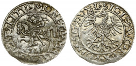 Lithuania 1/2 Grosz 1561 Vilnius. Sigismund II Augustus (1545-1572). Averse Lettering: SIGIS AVG REX PO MAG DVX L. Reverse Lettering: MONETA MAGNI DVC...