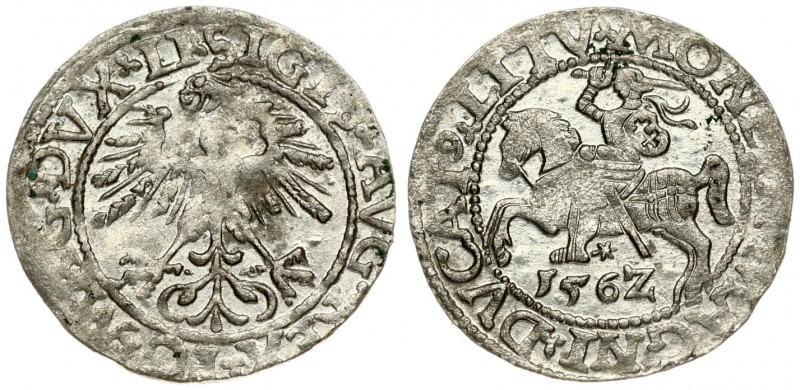 Lithuania 1/2 Grosz 1562 Vilnius. Sigismund II Augustus (1545-1572). Averse Lett...