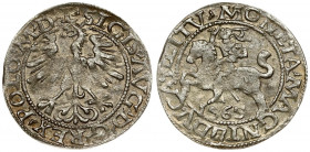 Lithuania 1/2 Grosz 1565 Vilnius. Sigismund II Augustus (1545-1572). Averse Lettering: SIGIS AVG REX PO MAG DVX L. Reverse Lettering: MONETA MAGNI DVC...