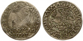 Lithuania 1 Grosz 1566 Tykocin. Sigismund II Augustus (1545-1572). Averse: Crowned bust facing right. Reverse: Lithuanian knight on horseback; date be...