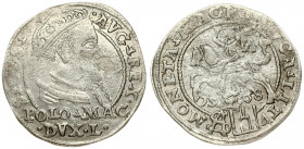 Lithuania 1 Grosz 1568 Tykocin. Sigismund II Augustus (1545-1572). Averse: Crowned bust facing right. Reverse: Lithuanian knight on horseback; date be...
