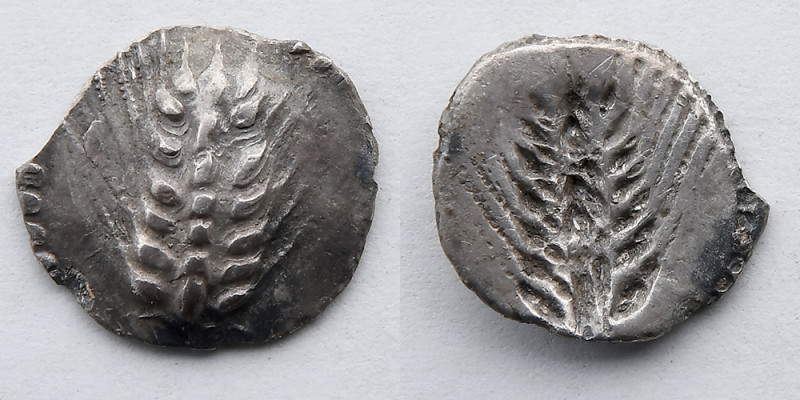 GREEK: Lucania, Metapontum, AR Drachm, c. 540-510 BC (18mmm 1.9g). Obverse: Six ...