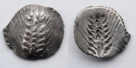 GREEK: Lucania, Metapontum, AR Drachm, c. 540-510 BC (18mmm 1.9g)