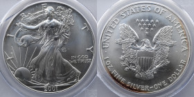 2001 American Silver Eagle, World Trade Towers Ground Zero Recovery Coin, PCGS Label, Genuine