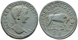 Roman Provincial
PISIDIA. Antioch. Gordian III (238-244). Ae. Obv: IMP CAES M ANT GORDIANVS AV. Laureate head right. Rev: CAES ANTIOCH COL / S R. She-...