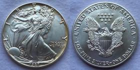 Stati Uniti - Dollaro "Silver Eagle" 1987 Oncia Ag 999 Km# 273
FDC