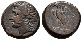 Sicily. Syracuse. AE 23. 287-278 BC. Times of Hiketas. (Sng Ans-808/809). (Hgc-2, 1448). Anv.: (ΔIOΣ EΛΛANIOY), laureate head of young Herakles to lef...