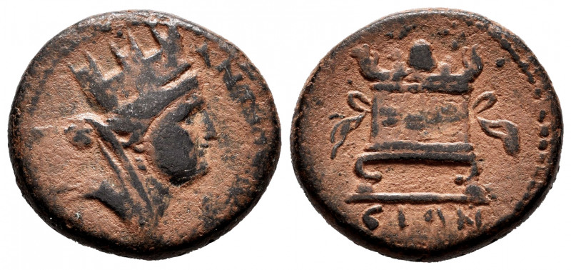 Seleucis and Pieria. AE 20. CE 126 = 77/8 AD. Antioch. Times of Vespasian. (McAl...