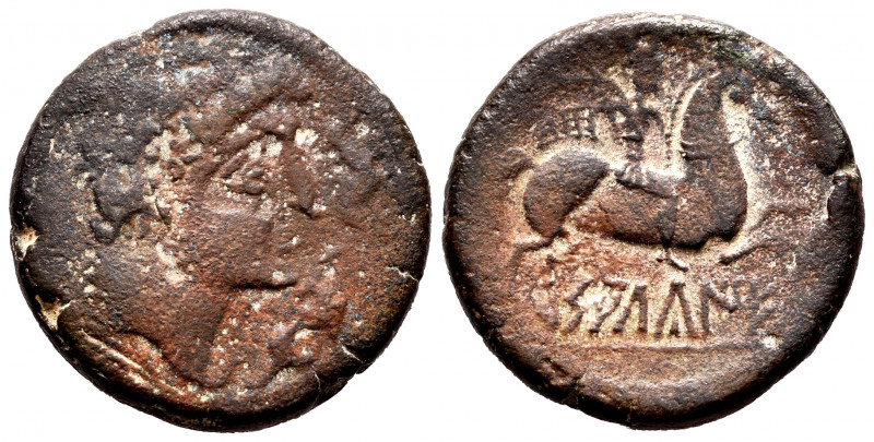 Saltuie. Unit. 120-30 BC. Zaragoza. (Abh-305). Anv.: Male head right, three dolp...